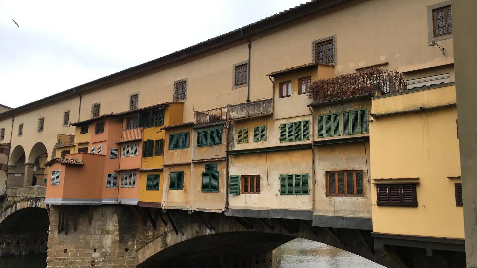 Pensión La Tana Dei Leoni Affittacamere Florencia